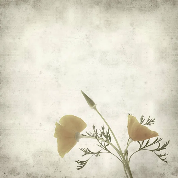 desenli eski kağıt arkaplan  