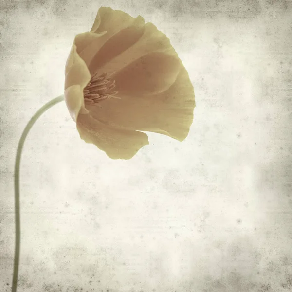 desenli eski kağıt arkaplan  