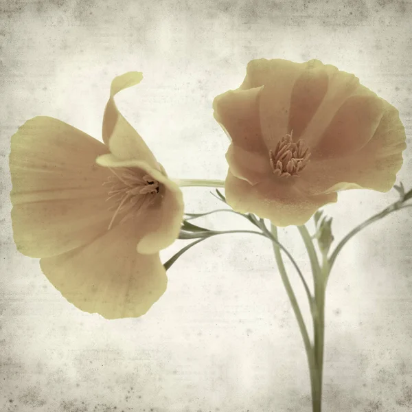 desenli eski kağıt arkaplan  