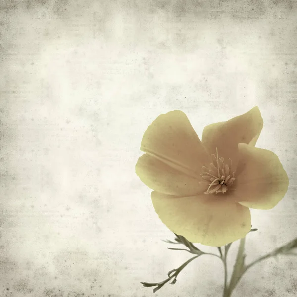 desenli eski kağıt arkaplan  