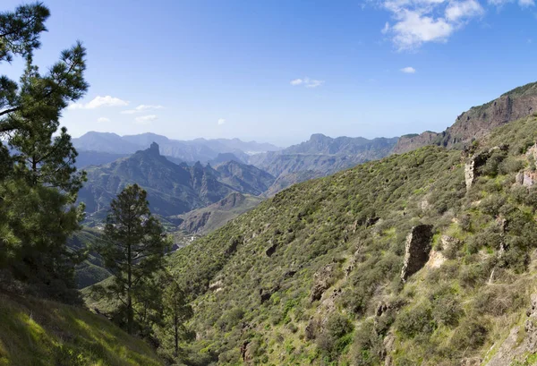 Centrale Gra Canaria in December — Stockfoto