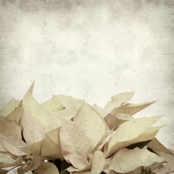 desenli eski kağıt arkaplan  