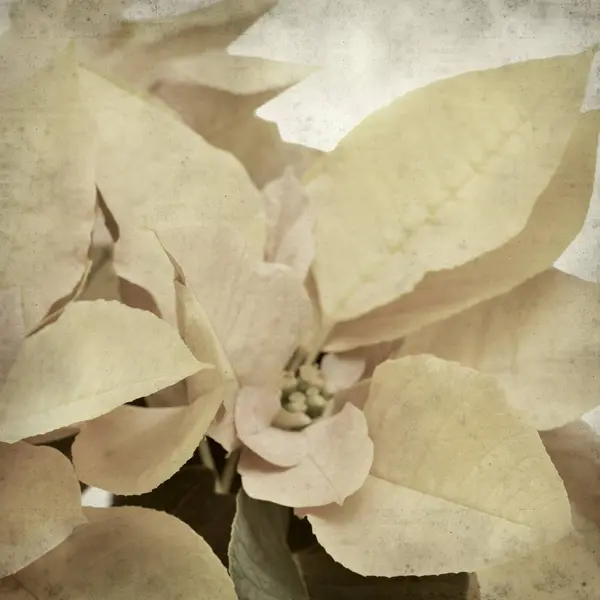 desenli eski kağıt arkaplan  