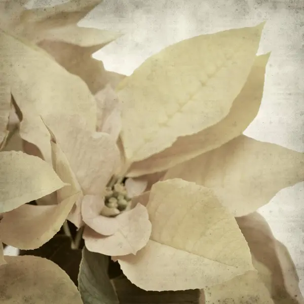 desenli eski kağıt arkaplan  