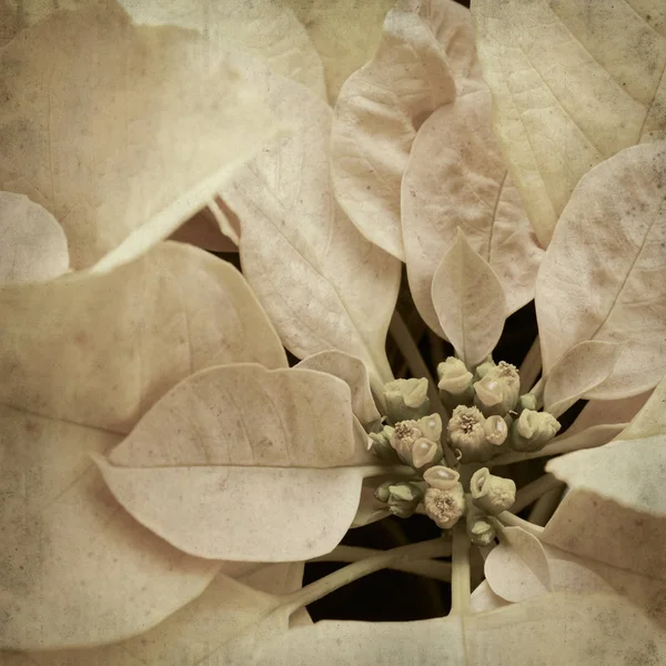 desenli eski kağıt arkaplan  