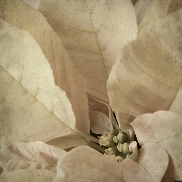 desenli eski kağıt arkaplan  