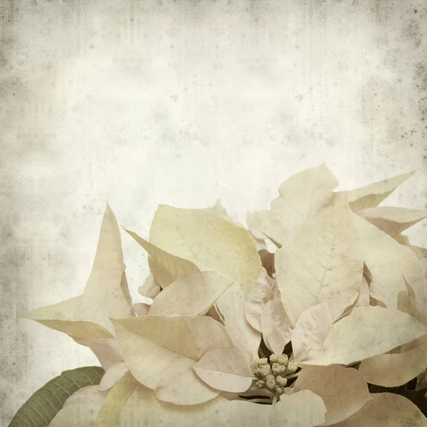 desenli eski kağıt arkaplan  