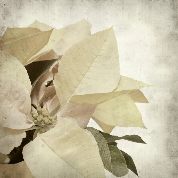 desenli eski kağıt arkaplan  