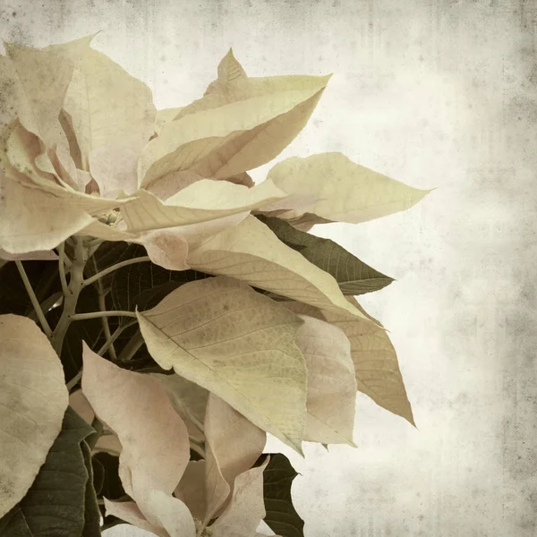 desenli eski kağıt arkaplan  