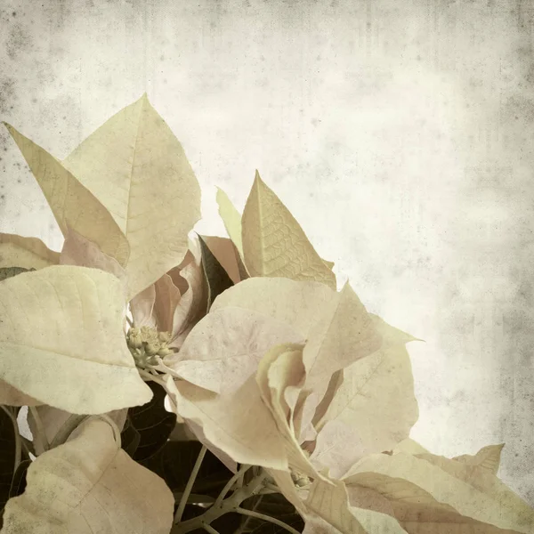 desenli eski kağıt arkaplan  