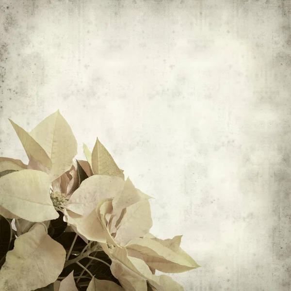 desenli eski kağıt arkaplan  