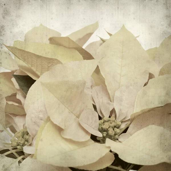 desenli eski kağıt arkaplan  