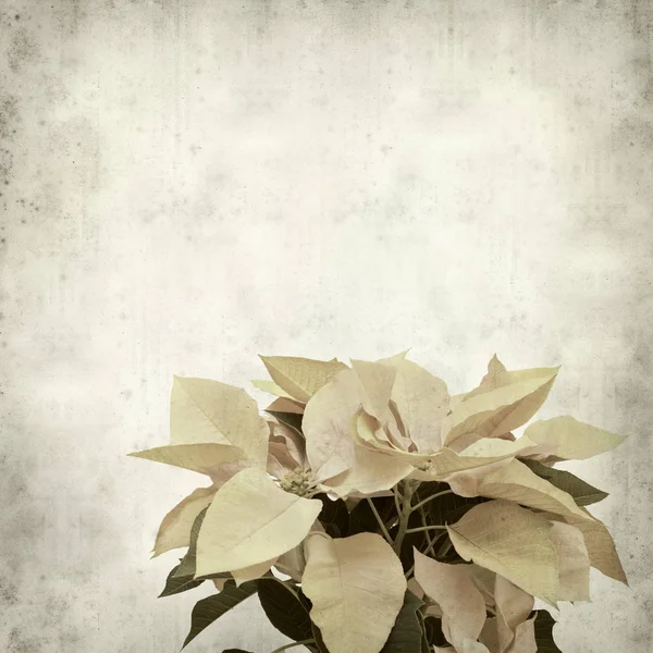 desenli eski kağıt arkaplan  