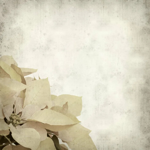 desenli eski kağıt arkaplan  