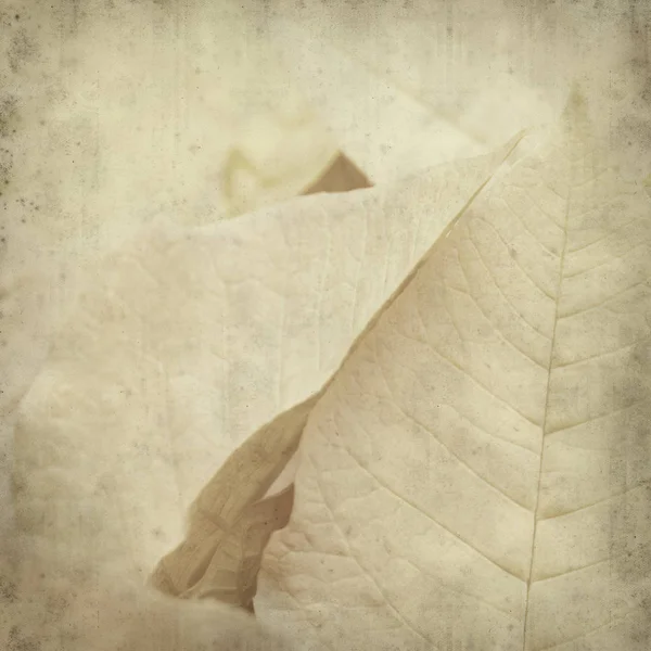 desenli eski kağıt arkaplan  