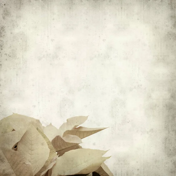 desenli eski kağıt arkaplan  