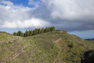 Gran Canari Aralık ayında 