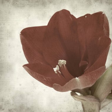 desenli eski kağıt arkaplan  