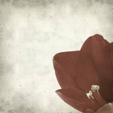 desenli eski kağıt arkaplan  