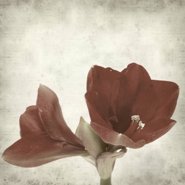 desenli eski kağıt arkaplan  