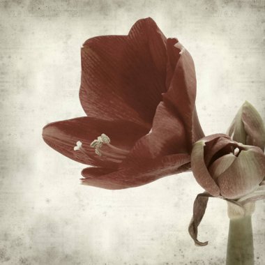 desenli eski kağıt arkaplan  