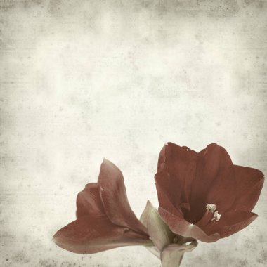 desenli eski kağıt arkaplan  