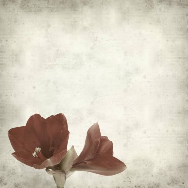 desenli eski kağıt arkaplan  