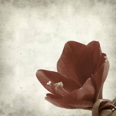 desenli eski kağıt arkaplan  