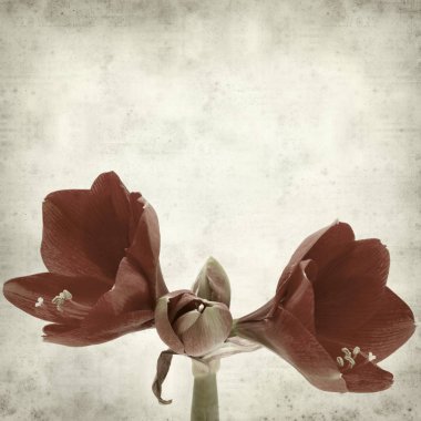 desenli eski kağıt arkaplan  