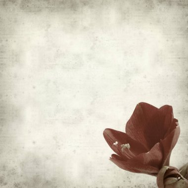 desenli eski kağıt arkaplan  