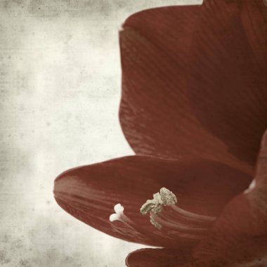 desenli eski kağıt arkaplan  