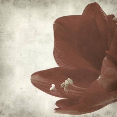 desenli eski kağıt arkaplan  