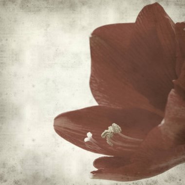 desenli eski kağıt arkaplan  