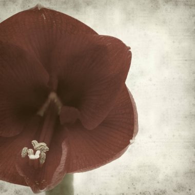 desenli eski kağıt arkaplan  