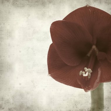 desenli eski kağıt arkaplan  