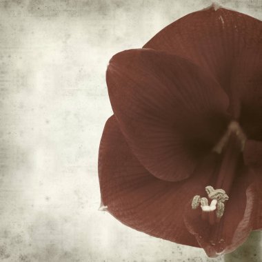 desenli eski kağıt arkaplan  