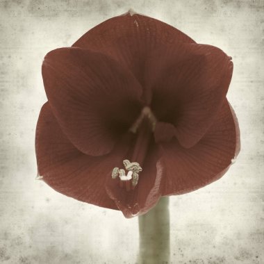 desenli eski kağıt arkaplan  