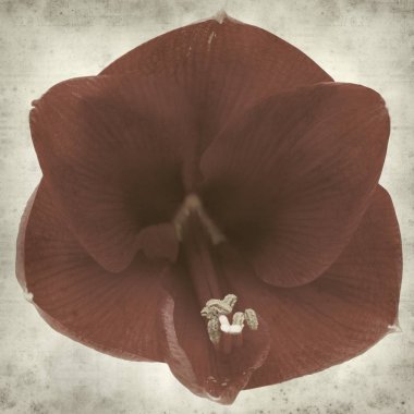 desenli eski kağıt arkaplan  