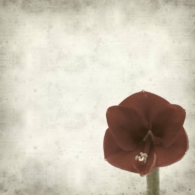 desenli eski kağıt arkaplan  