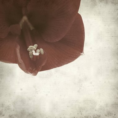 desenli eski kağıt arkaplan  