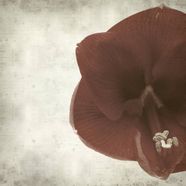 desenli eski kağıt arkaplan  