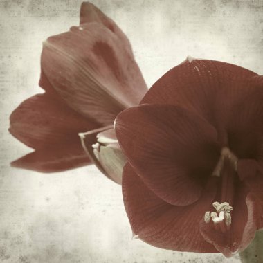 desenli eski kağıt arkaplan  