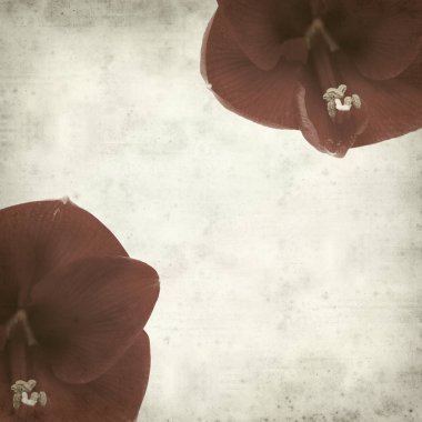 desenli eski kağıt arkaplan  