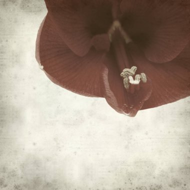 desenli eski kağıt arkaplan  