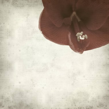 desenli eski kağıt arkaplan  