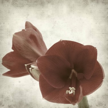 desenli eski kağıt arkaplan  