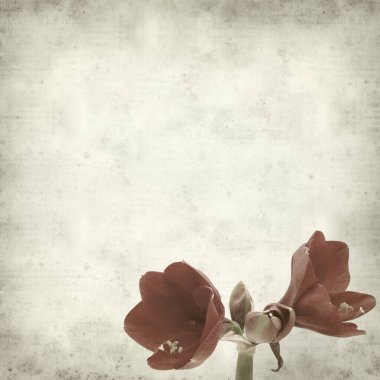 desenli eski kağıt arkaplan  