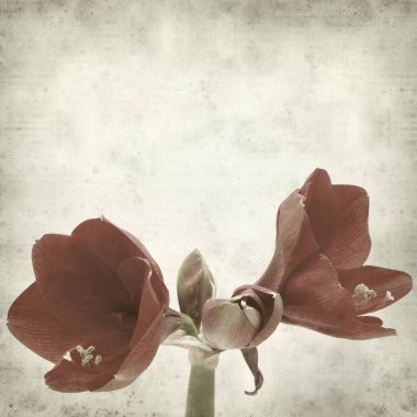 desenli eski kağıt arkaplan  