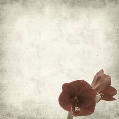 desenli eski kağıt arkaplan  