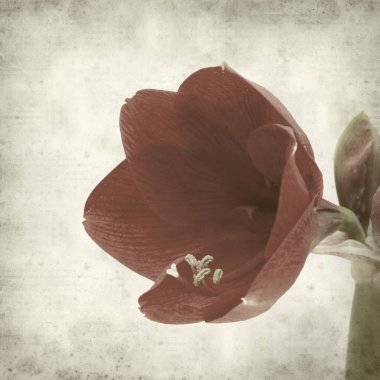 desenli eski kağıt arkaplan  